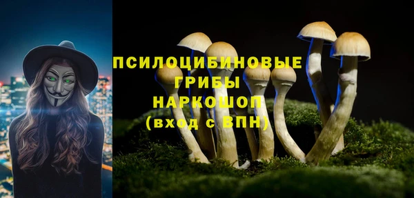 дживик Наволоки
