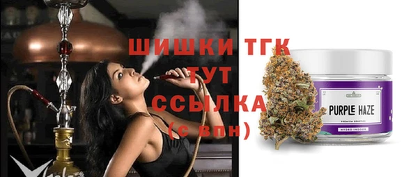 твердый Пересвет