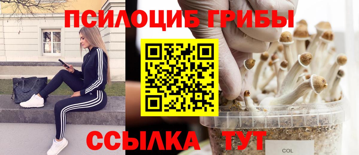 Нижневартовск  Псилоцибиновые грибы Cubensis  купить наркоту  Вход с VPN 